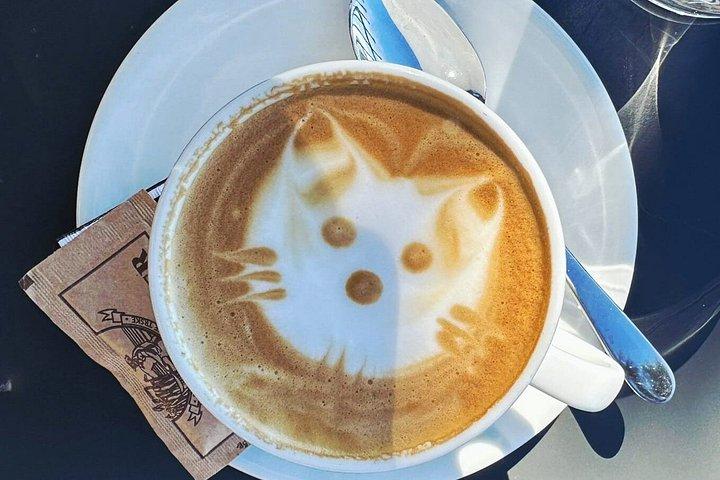 グッドモーニング、ドゥブロブニク：プライベートコーヒー、歴史＆ジェラート