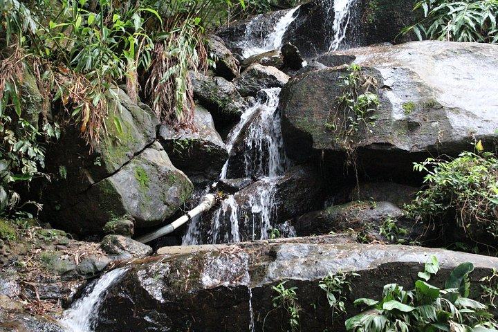 Rio Nature Escape Tijuca Forest Private Experience