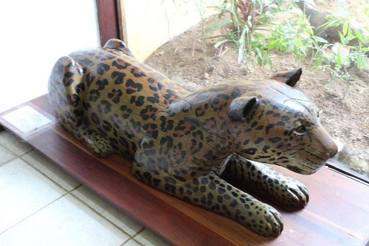 Rio Nature Escape Tijuca Forest Private Experience