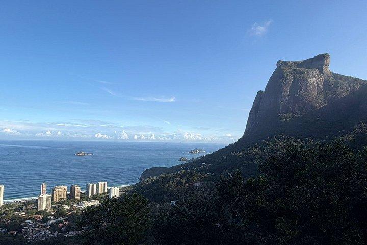 Rio Nature Escape Tijuca Forest Private Experience