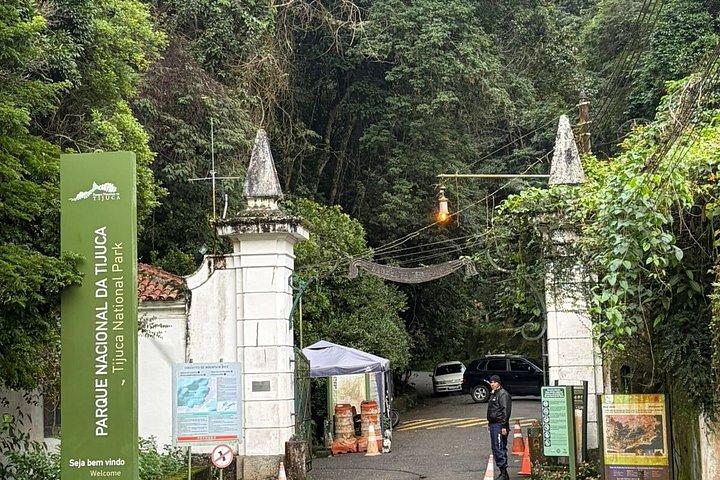Rio Nature Escape Tijuca Forest Private Experience