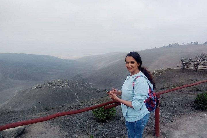 Lomas de Lachay Day Trip from Lima