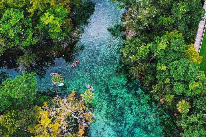 Clear Kayak Três Irmãs Springs Tour de Natação de Verão