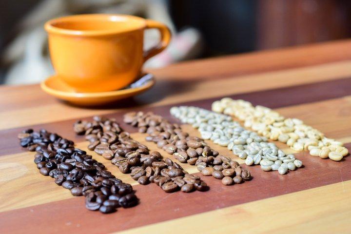 Specialty Coffee Workshops in Bogota