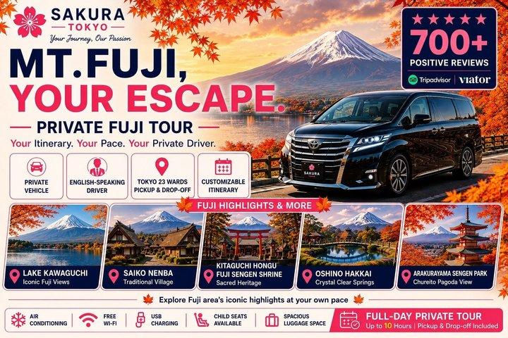 Mt Fuji Full Day Private Tour from Tokyo with English Driver