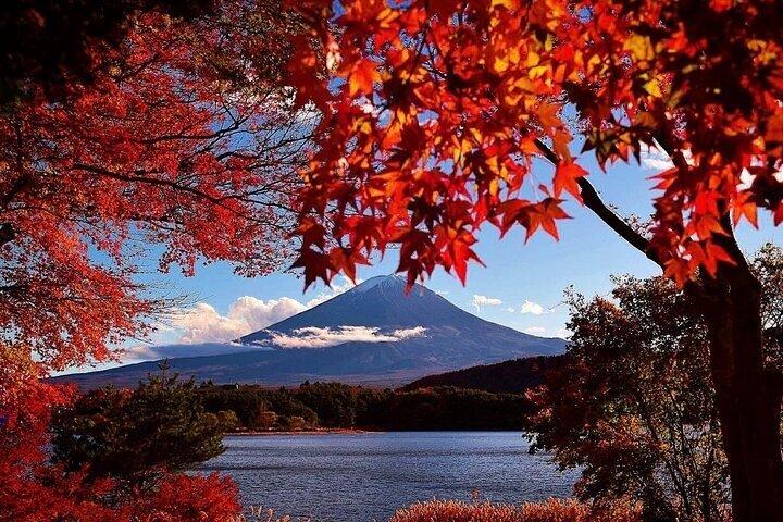 Mt Fuji Full Day Private Tour from Tokyo with English Driver