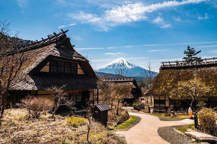Mt Fuji Full Day Private Tour from Tokyo with English Driver