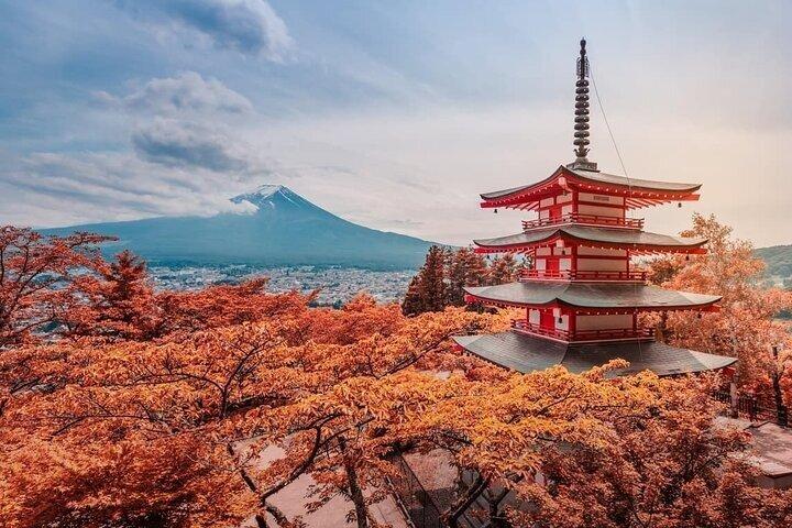 Mt Fuji Full Day Private Tour from Tokyo with English Driver