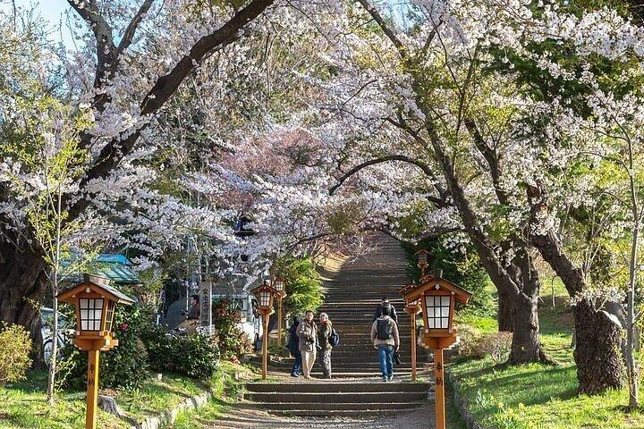英語ドライバー付き東京発富士山終日プライベートツアー