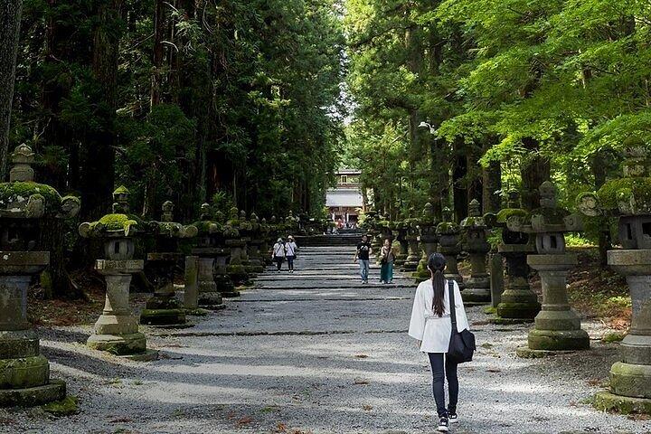 英語ドライバー付き東京発富士山終日プライベートツアー