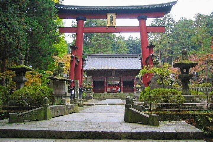 英語ドライバー付き東京発富士山終日プライベートツアー