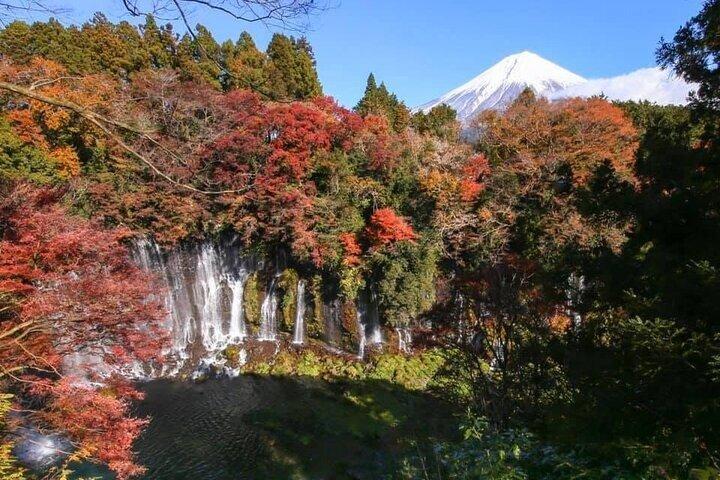 英語ドライバー付き箱根プライベート＆カスタム日帰りツアー