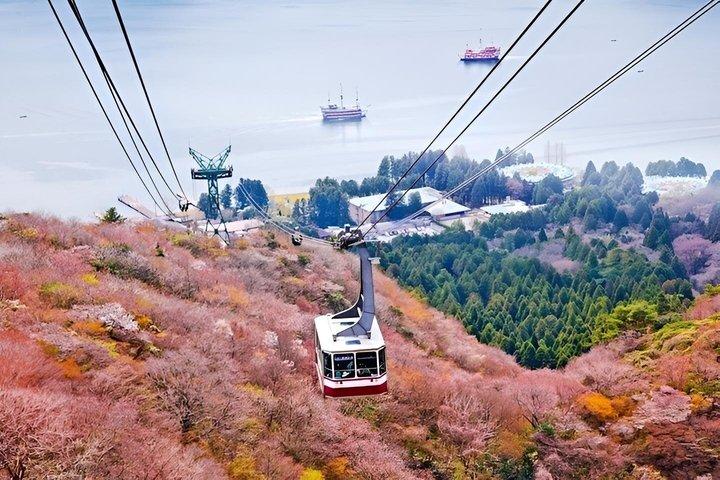 Hakone & Mt Fuji Private Custom Tour with English Driver-guide