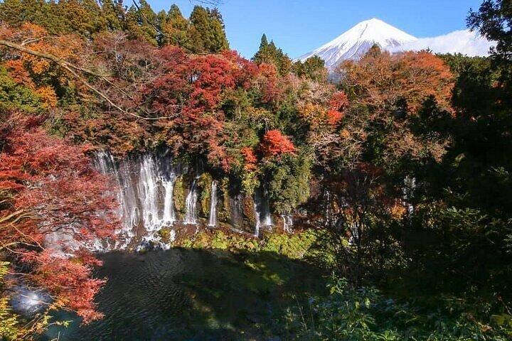 箱根＆富士山 プライベートカスタムツアー（英語ドライバー付き）
