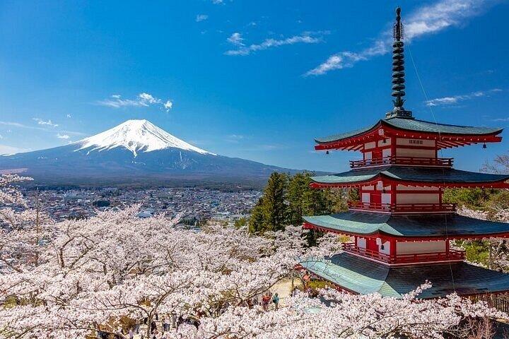 箱根＆富士山 プライベートカスタムツアー（英語ドライバー付き）