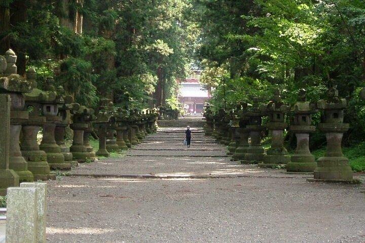 箱根＆富士山 プライベートカスタムツアー（英語ドライバー付き）