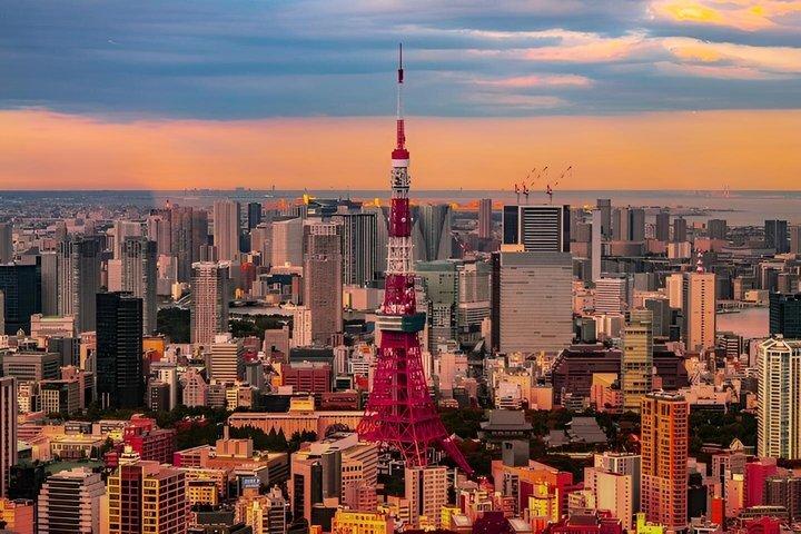 Private und individuell anpassbare Tokio-Tour mit Englisch sprechendem Fahrer