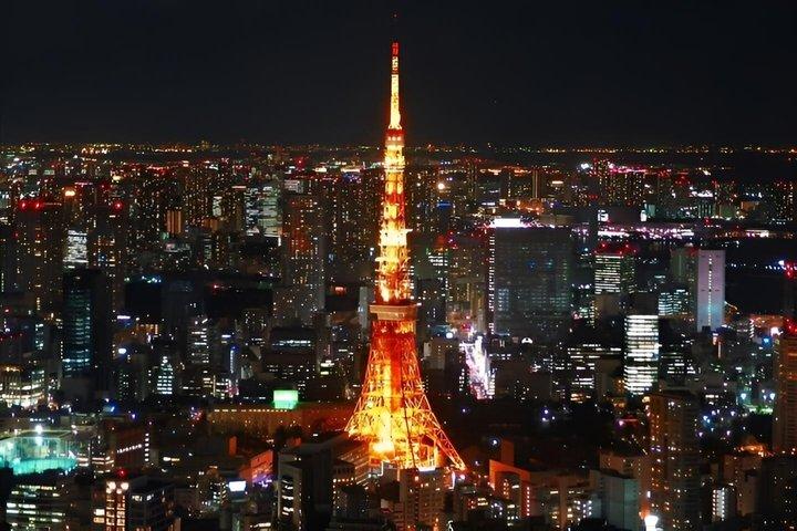 Private und individuell anpassbare Tokio-Tour mit Englisch sprechendem Fahrer