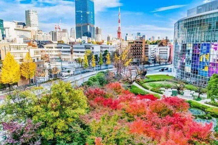 Private und individuell anpassbare Tokio-Tour mit Englisch sprechendem Fahrer