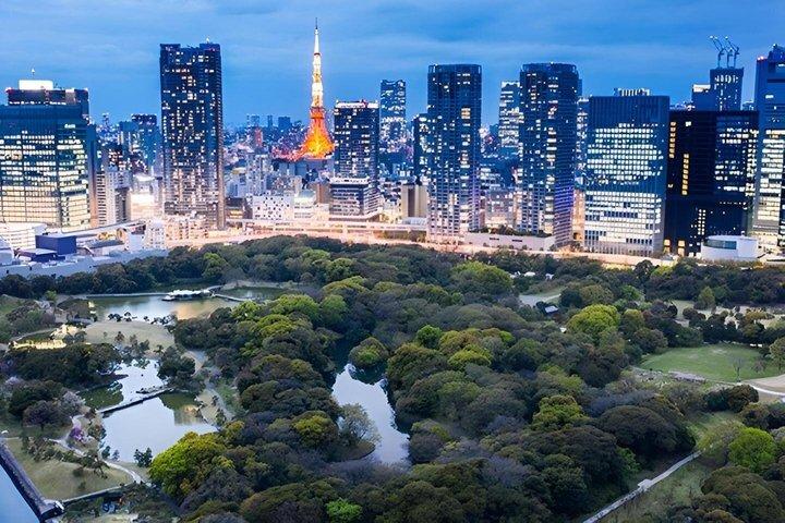 英語を話せるドライバーによるプライベートでカスタマイズ可能な東京ツアー