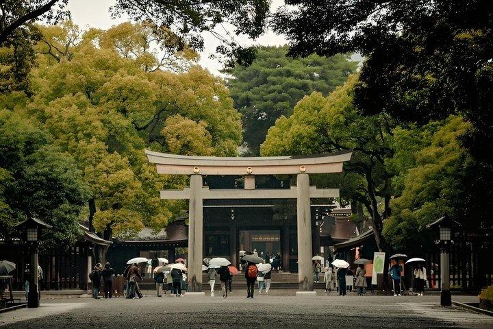 英語を話せるドライバーによるプライベートでカスタマイズ可能な東京ツアー