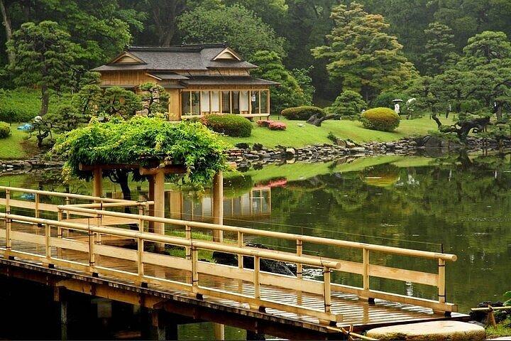 英語を話せるドライバーによるプライベートでカスタマイズ可能な東京ツアー