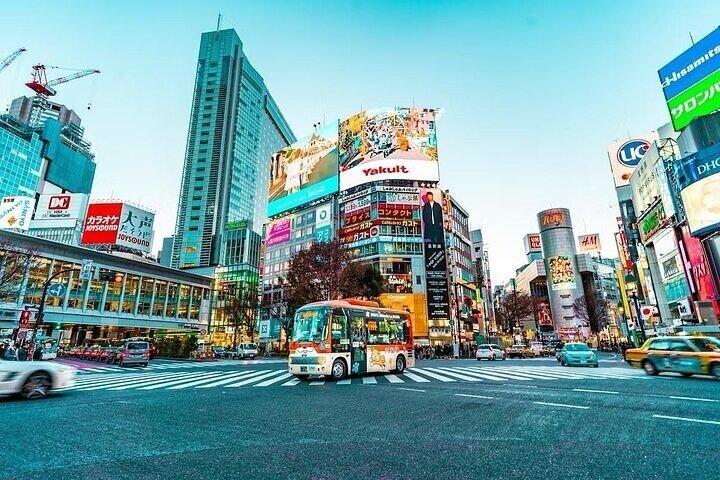 英語を話せるドライバーによるプライベートでカスタマイズ可能な東京ツアー