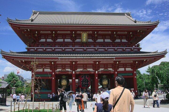 英語を話せるドライバーによるプライベートでカスタマイズ可能な東京ツアー