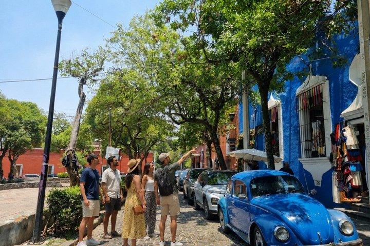 A Walking Tour in San Ángel with Mezcal Tasting