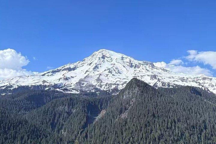 Da Seattle al Monte Rainer con Sprinter Van Shared Tour