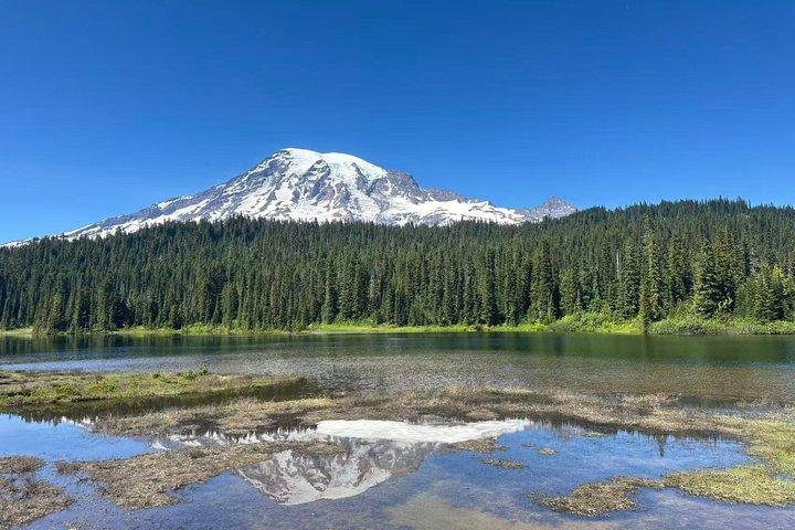 Da Seattle al Monte Rainer con Sprinter Van Shared Tour