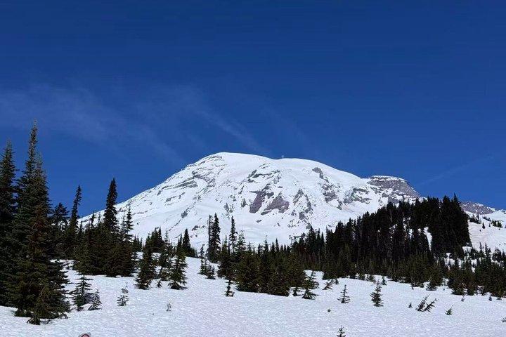 Da Seattle al Monte Rainer con Sprinter Van Shared Tour