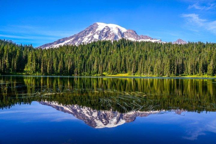 Da Seattle al Monte Rainer con Sprinter Van Shared Tour