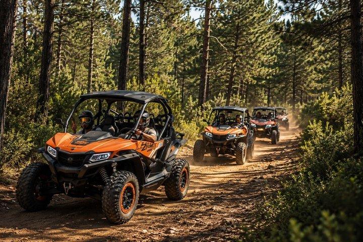 Marrakech: Buggy desert experience D’Agafay transfer and tea