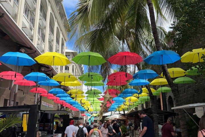 Explore Port Louis & North Mauritius