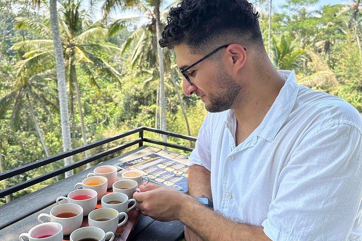 Ubud Private Trip: Bali Swing, Hidden Waterfall & Sacred Temple