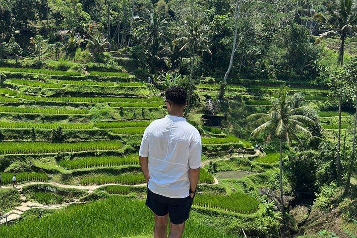 Ubud Private Trip: Bali Swing, Hidden Waterfall & Sacred Temple