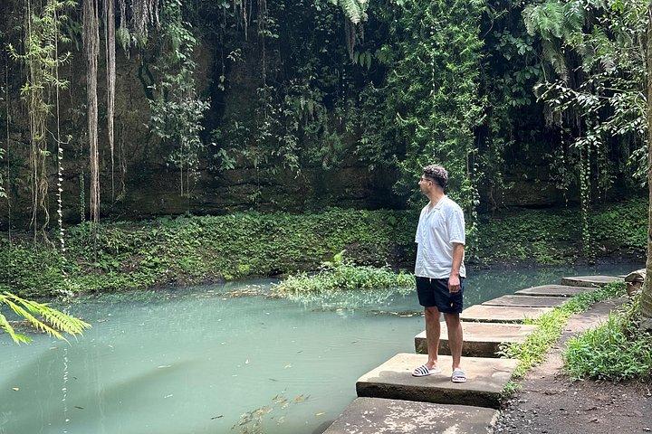 Ubud Private Trip: Bali Swing, Hidden Waterfall & Sacred Temple