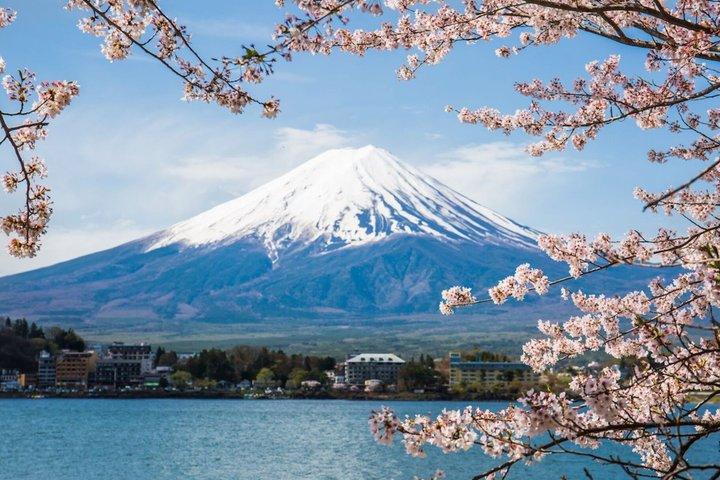 東京クルーズターミナルからの10時間東京郊外沿岸観光