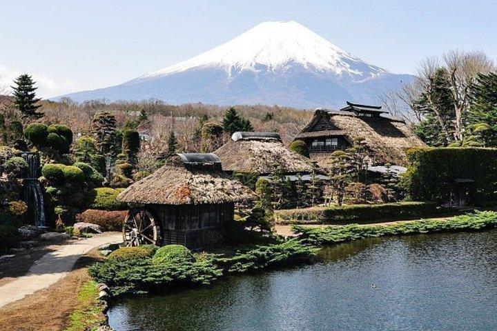 東京クルーズターミナルからの10時間東京郊外沿岸観光