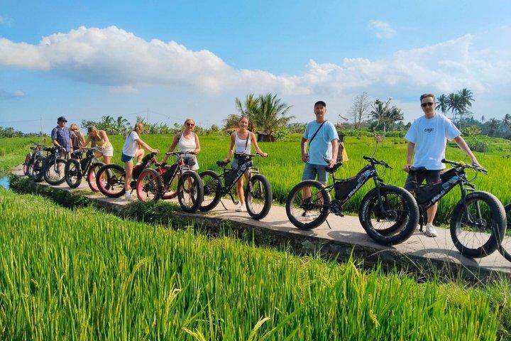 ウブドでのプライベートファットタイヤE-バイクツアー