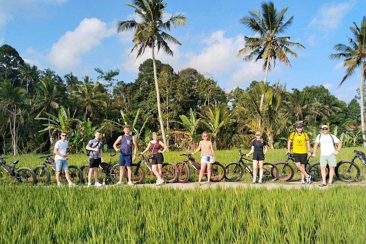 Elcykeltur i Ubud