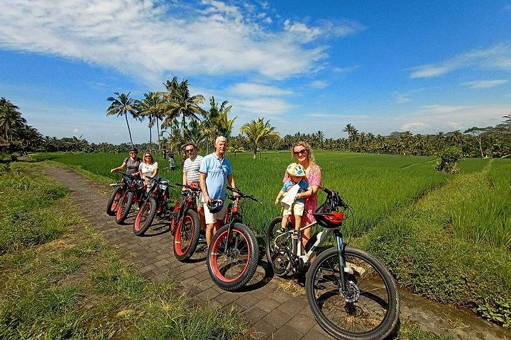 Elcykeltur i Ubud