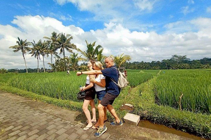 Elcykeltur i Ubud