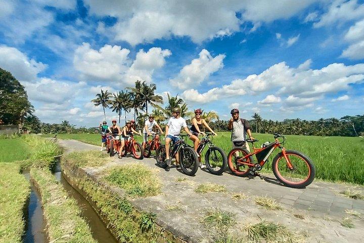 Elcykeltur i Ubud