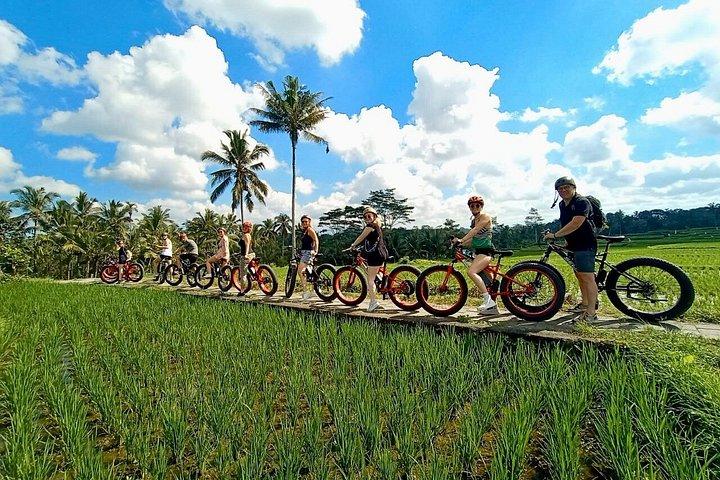 Elcykeltur i Ubud
