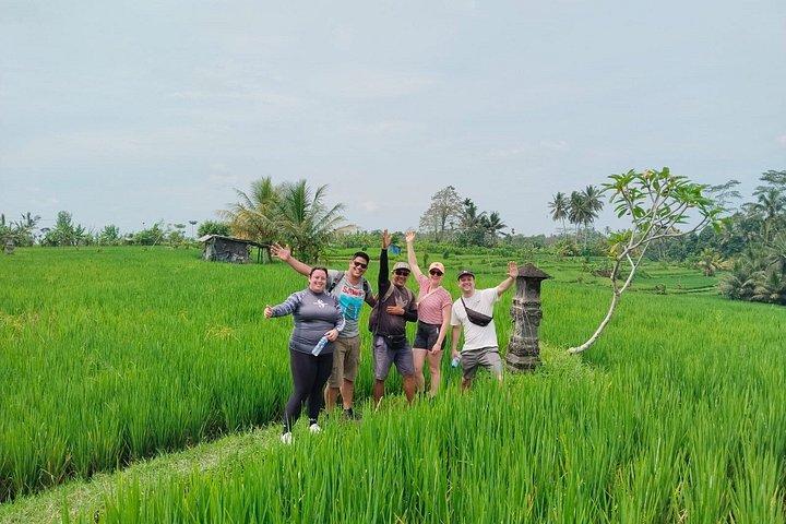 Elcykeltur i Ubud