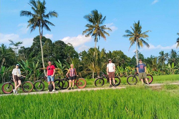 Elcykeltur i Ubud