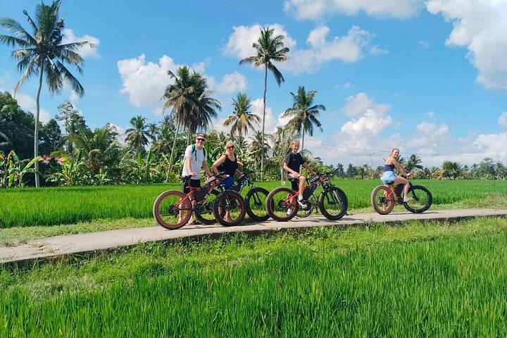 Tour in bici elettrica a Ubud