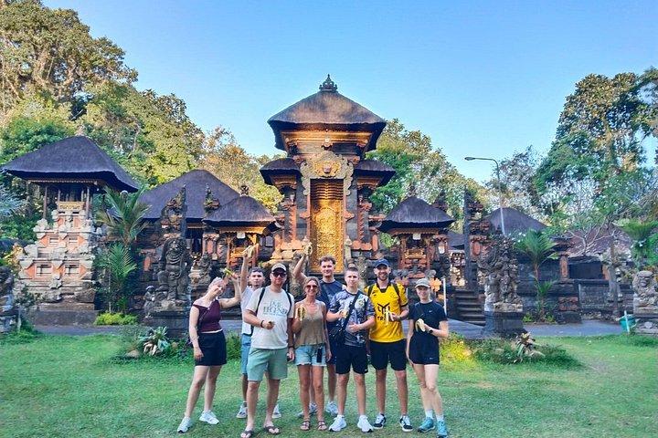 Elcykeltur i Ubud